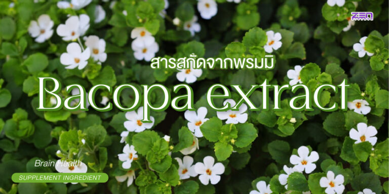 Bacopa Extract (สารสกัดบาโคปา) ตัวช่วยดูแลความจำ สมาธิ และสุขภาพสมอง