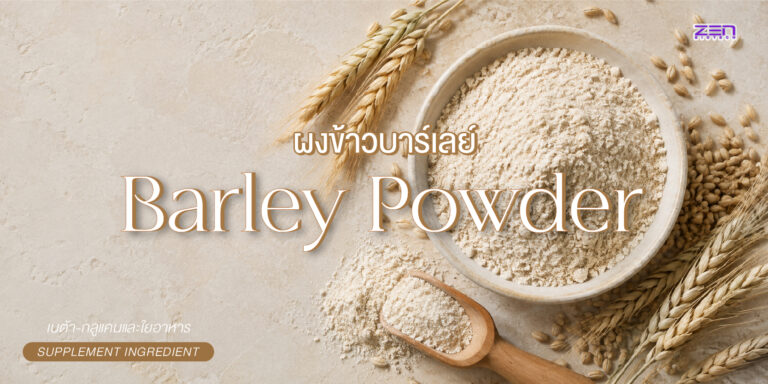 Barley Powder (ผงข้าวบาร์เลย์) แหล่งเบต้า-กลูแคนและใยอาหารจากธรรมชาติ