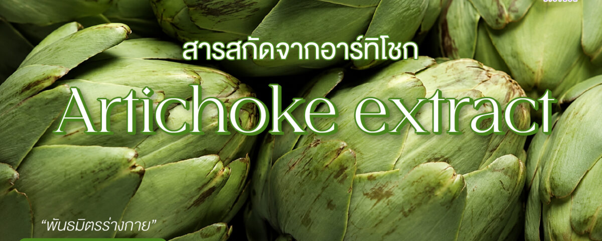 สารสกัดจากอาร์ติโชค (Artichoke Extract)