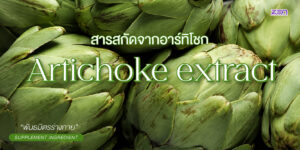 สารสกัดจากอาร์ติโชค (Artichoke Extract)