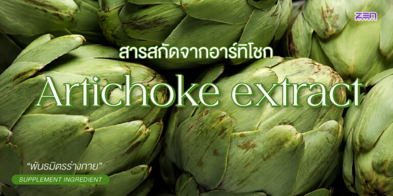Artichoke Extract สารสกัดจากอาร์ติโชก ทางเลือกสำหรับผลิตภัณฑ์ดูแลระบบย่อยอาหารและสุขภาพตับ