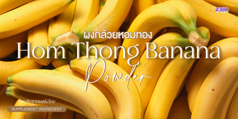 ผงกล้วยหอมทอง (Hom Thong Banana Powder) วัตถุดิบจากผลไม้ไทย สำหรับผลิตภัณฑ์สุขภาพ
