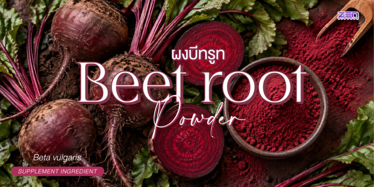 Beetroot Powder (ผงบีทรูท) วัตถุดิบสีแดงธรรมชาติ ช่วยดูแลการไหลเวียนเลือดและเสริมประสิทธิภาพการออกกำลังกาย