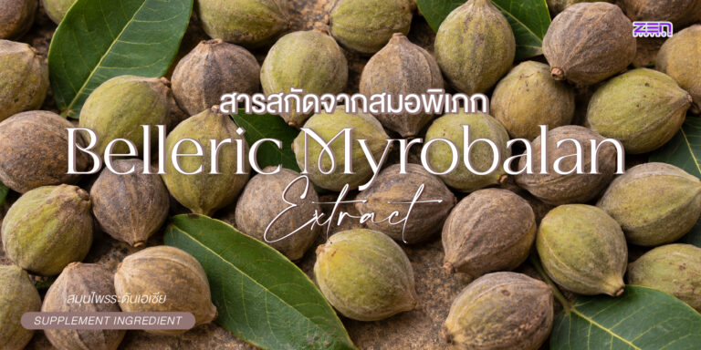 Belleric Myrobalan Extract สารสกัดสมอพิเภก สมุนไพรเด่นจากตำรับตรีผลา