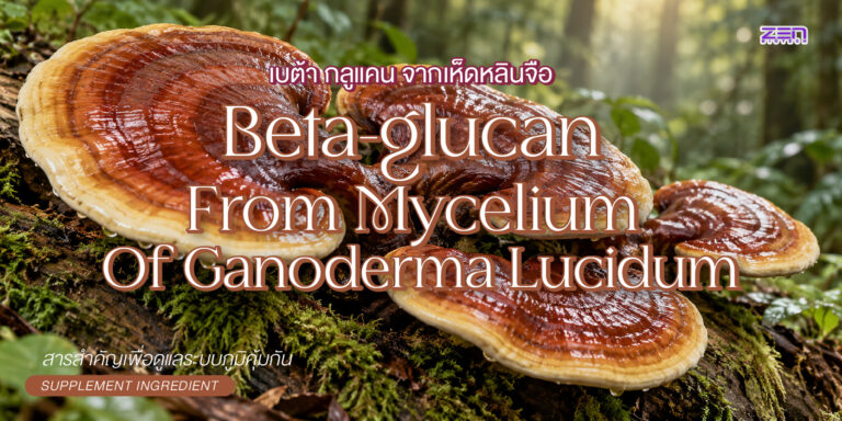 Beta-Glucan จากเห็ดหลินจือ สารสำคัญเพื่อดูแลระบบภูมิคุ้มกัน