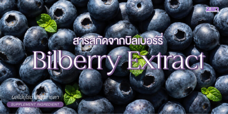 Bilberry Extract สารสกัดบิลเบอร์รี แหล่งแอนโทไซยานินเพื่อดูแลดวงตา