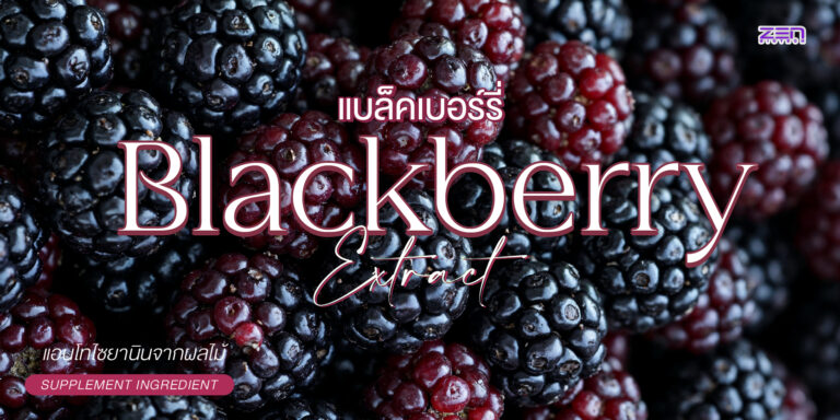 Blackberry Extract (สารสกัดแบล็กเบอร์รี) แอนโทไซยานินจากผลไม้