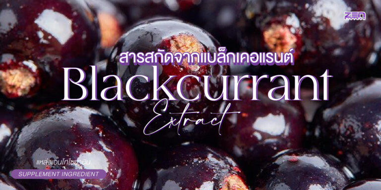 Blackcurrant Extract สารสกัดแบล็กเคอร์แรนต์ แหล่งแอนโทไซยานินสีม่วงเข้ม
